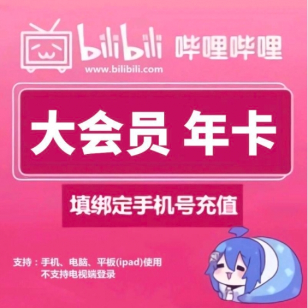 哔哩哔哩bilibili大会员 B站Vip会员 大会员12个月年卡 直充填手机